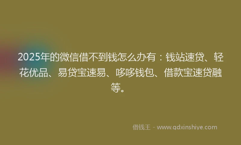 2025年的微信借不到钱怎么办有：钱站速贷、轻花优品、易贷宝速易、哆哆钱包、借款宝速贷融等。