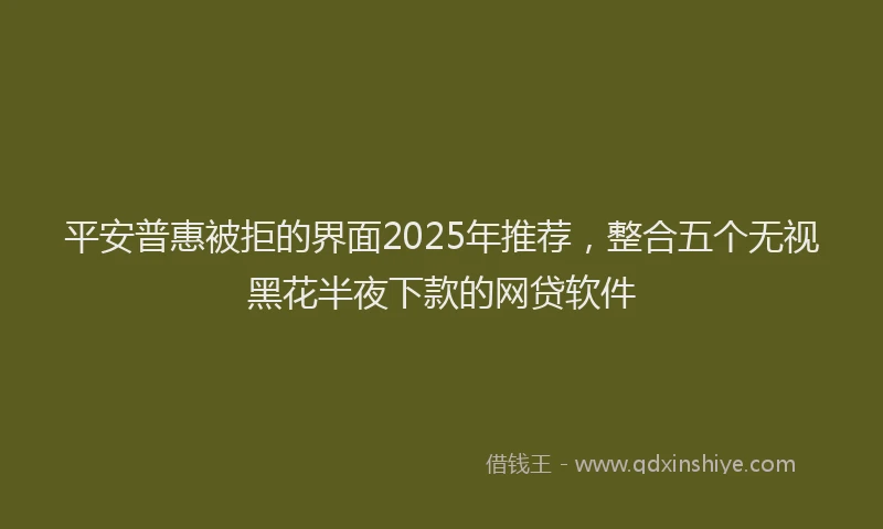 平安普惠被拒的界面2025年推荐，整合五个无视黑花半夜下款的网贷软件