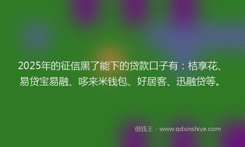 2025年的征信黑了能下的贷款口子有：桔享花、易贷宝易融、哆来米钱包、好居客、迅融贷等。