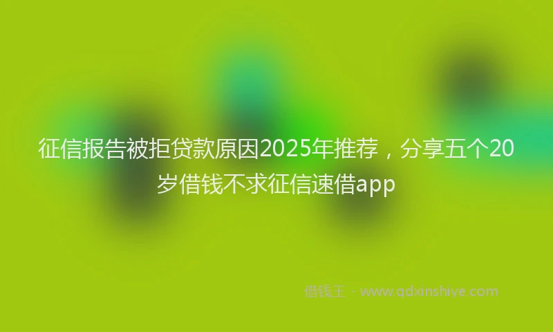 征信报告被拒贷款原因2025年推荐，分享五个20岁借钱不求征信速借app