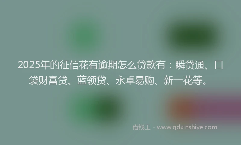 2025年的征信花有逾期怎么贷款有：瞬贷通、口袋财富贷、蓝领贷、永卓易购、新一花等。