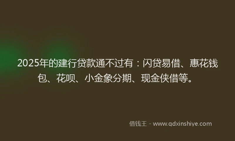 2025年的建行贷款通不过有：闪贷易借、惠花钱包、花呗、小金象分期、现金侠借等。