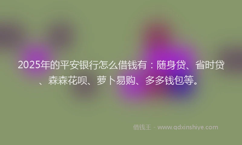 2025年的平安银行怎么借钱有：随身贷、省时贷、森森花呗、萝卜易购、多多钱包等。