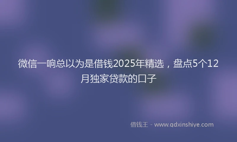 微信一响总以为是借钱2025年精选，盘点5个12月独家贷款的口子
