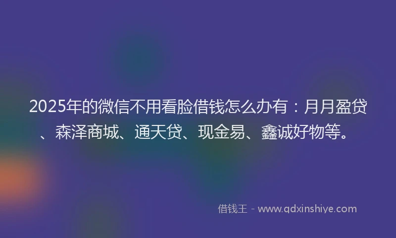 2025年的微信不用看脸借钱怎么办有：月月盈贷、森泽商城、通天贷、现金易、鑫诚好物等。