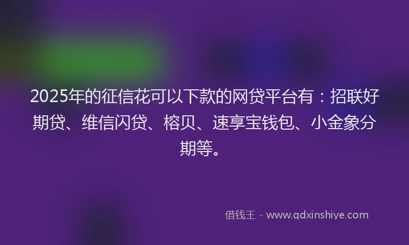 2025年的征信花可以下款的网贷平台有：招联好期贷、维信闪贷、榕贝、速享宝钱包、小金象分期等。