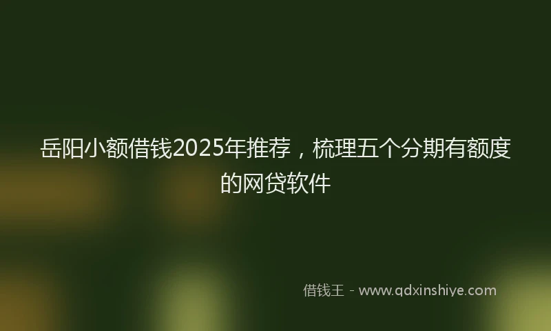 岳阳小额借钱2025年推荐，梳理五个分期有额度的网贷软件