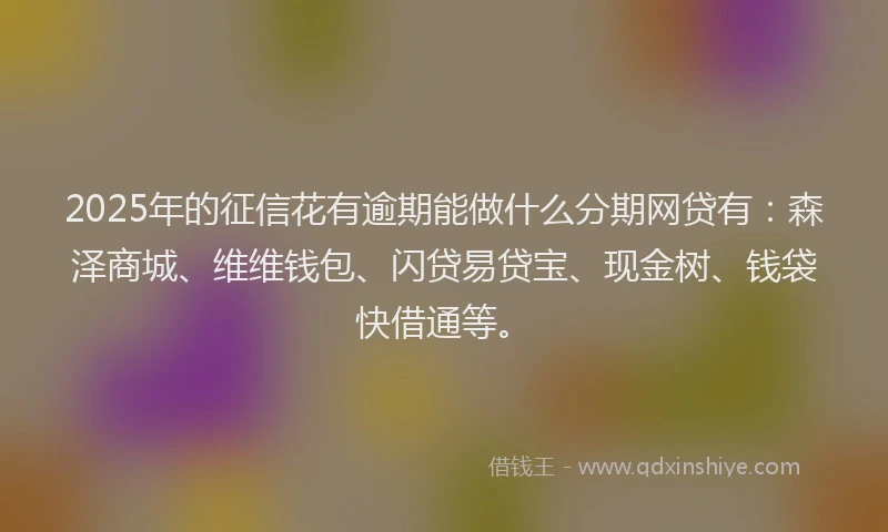 2025年的征信花有逾期能做什么分期网贷有：森泽商城、维维钱包、闪贷易贷宝、现金树、钱袋快借通等。
