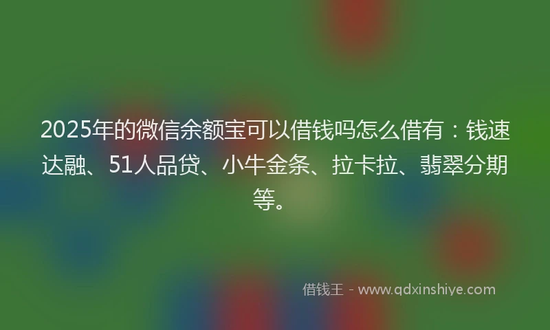 2025年的微信余额宝可以借钱吗怎么借有：钱速达融、51人品贷、小牛金条、拉卡拉、翡翠分期等。