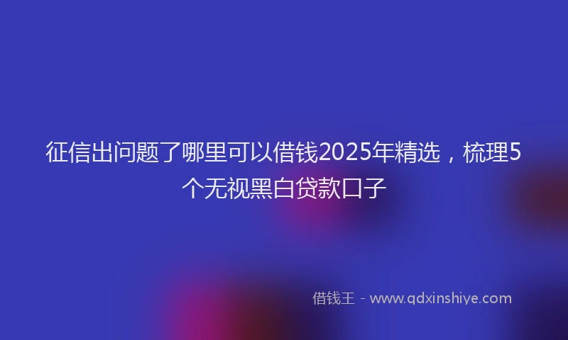 征信出问题了哪里可以借钱2025年精选，梳理5个无视黑白贷款口子