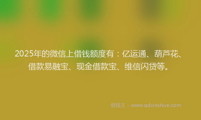 2025年的微信上借钱额度有：亿运通、葫芦花、借款易融宝、现金借款宝、维信闪贷等。