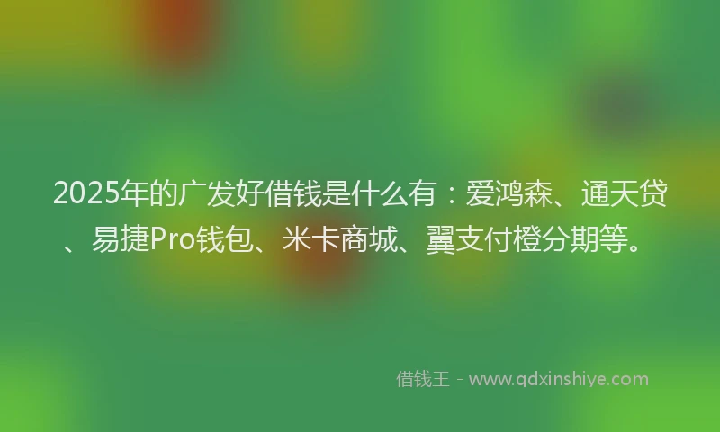 2025年的广发好借钱是什么有：爱鸿森、通天贷、易捷Pro钱包、米卡商城、翼支付橙分期等。