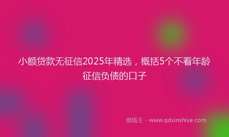 小额贷款无征信2025年精选，概括5个不看年龄征信负债的口子