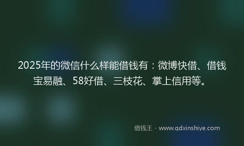 2025年的微信什么样能借钱有：微博快借、借钱宝易融、58好借、三枝花、掌上信用等。