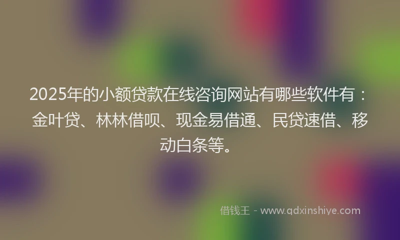 2025年的小额贷款在线咨询网站有哪些软件有：金叶贷、林林借呗、现金易借通、民贷速借、移动白条等。