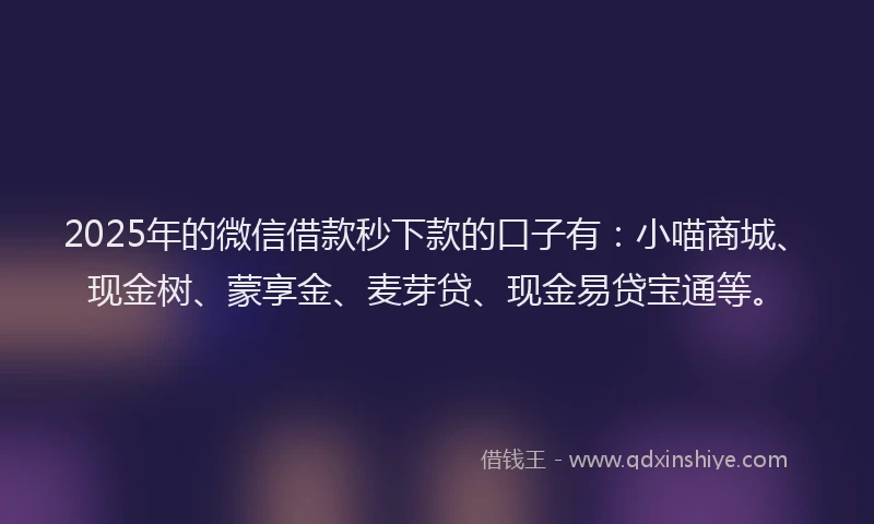 2025年的微信借款秒下款的口子有：小喵商城、现金树、蒙享金、麦芽贷、现金易贷宝通等。