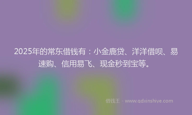 2025年的常东借钱有：小金鹿贷、洋洋借呗、易速购、信用易飞、现金秒到宝等。