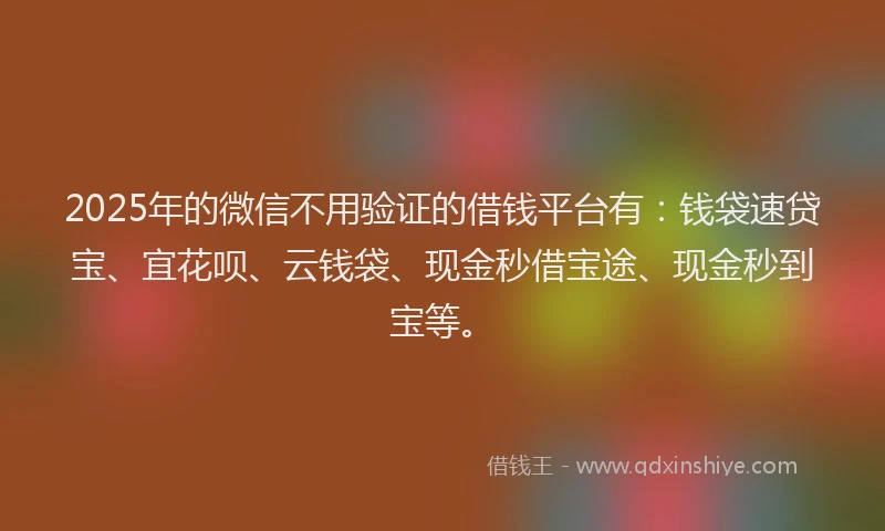 2025年的微信不用验证的借钱平台有：钱袋速贷宝、宜花呗、云钱袋、现金秒借宝途、现金秒到宝等。