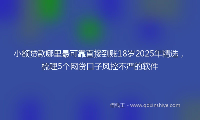 小额贷款哪里最可靠直接到账18岁2025年精选，梳理5个网贷口子风控不严的软件