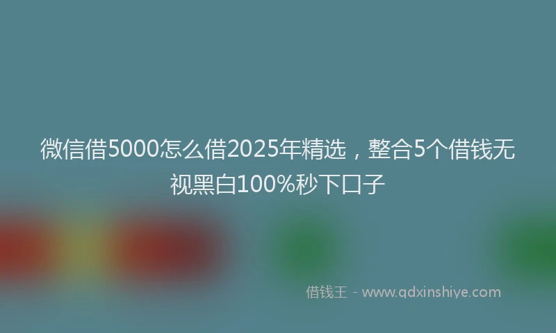 微信借5000怎么借2025年精选，整合5个借钱无视黑白100%秒下口子