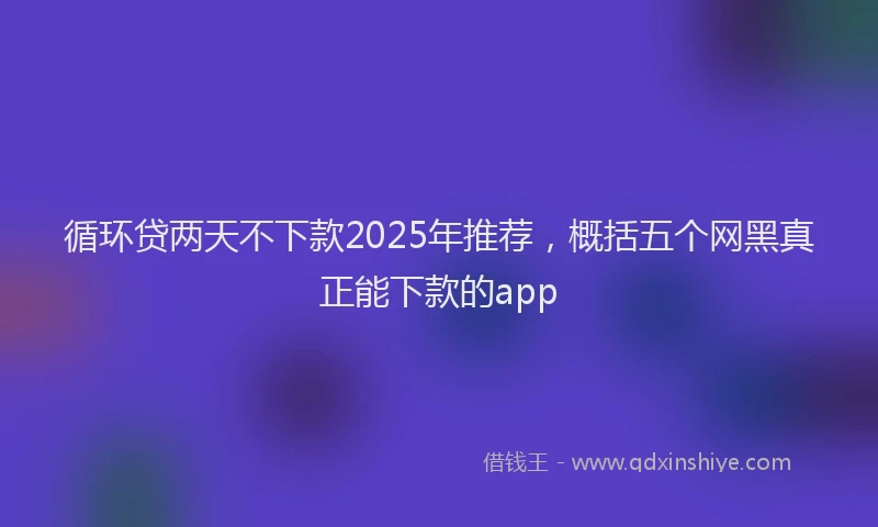 循环贷两天不下款2025年推荐，概括五个网黑真正能下款的app
