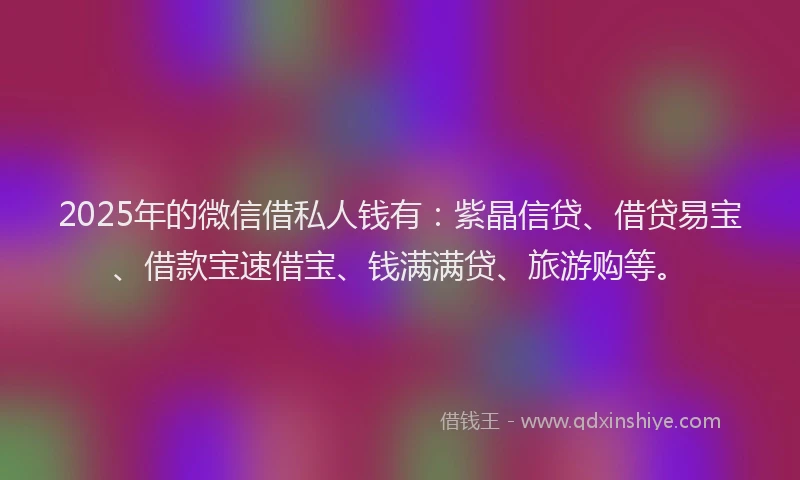 2025年的微信借私人钱有：紫晶信贷、借贷易宝、借款宝速借宝、钱满满贷、旅游购等。