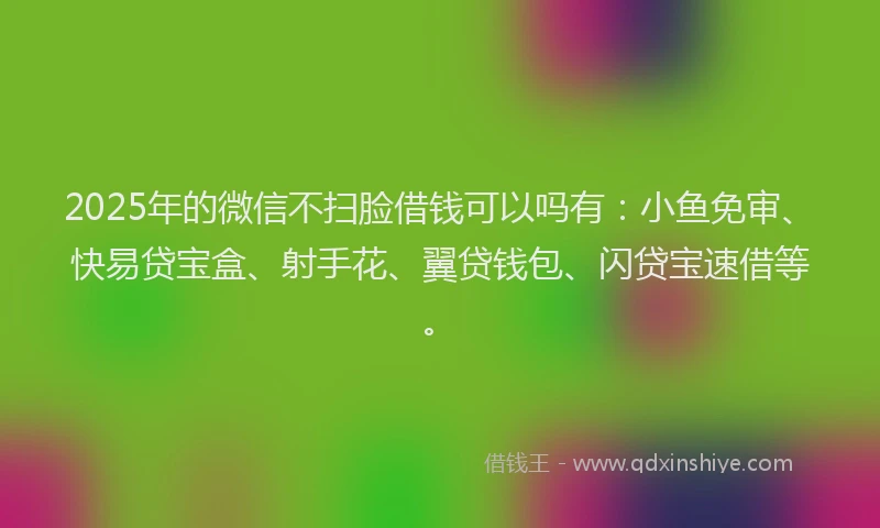 2025年的微信不扫脸借钱可以吗有：小鱼免审、快易贷宝盒、射手花、翼贷钱包、闪贷宝速借等。