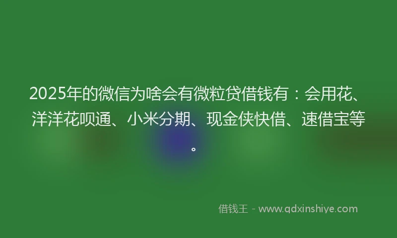 2025年的微信为啥会有微粒贷借钱有：会用花、洋洋花呗通、小米分期、现金侠快借、速借宝等。