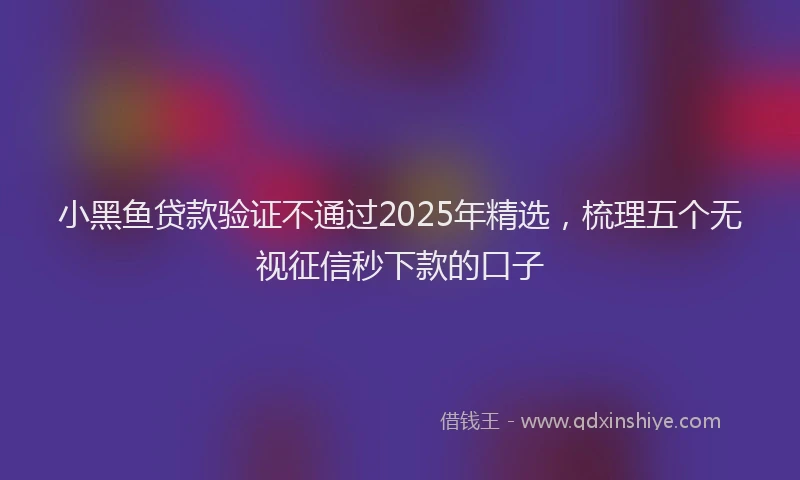 小黑鱼贷款验证不通过2025年精选，梳理五个无视征信秒下款的口子