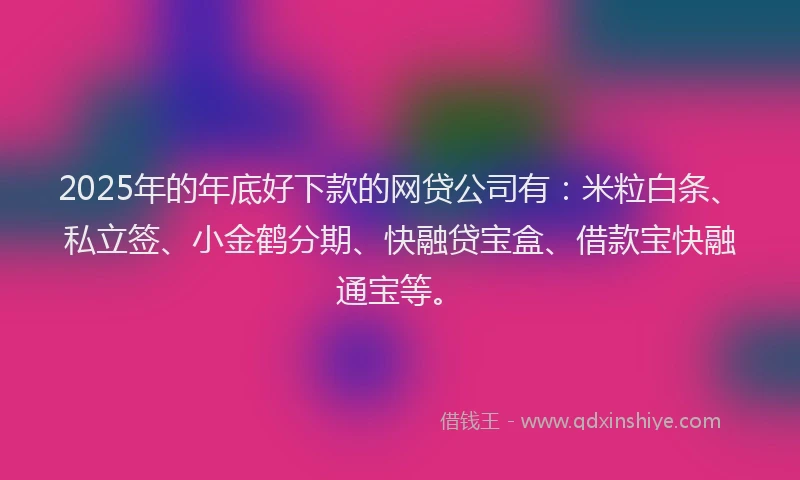 2025年的年底好下款的网贷公司有：米粒白条、私立签、小金鹤分期、快融贷宝盒、借款宝快融通宝等。