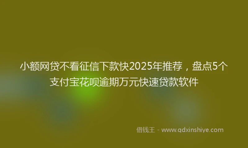 小额网贷不看征信下款快2025年推荐，盘点5个支付宝花呗逾期万元快速贷款软件