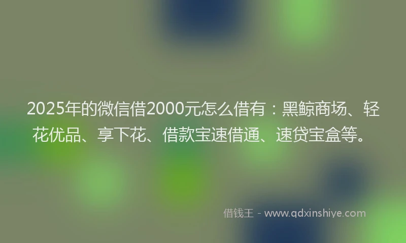 2025年的微信借2000元怎么借有：黑鲸商场、轻花优品、享下花、借款宝速借通、速贷宝盒等。