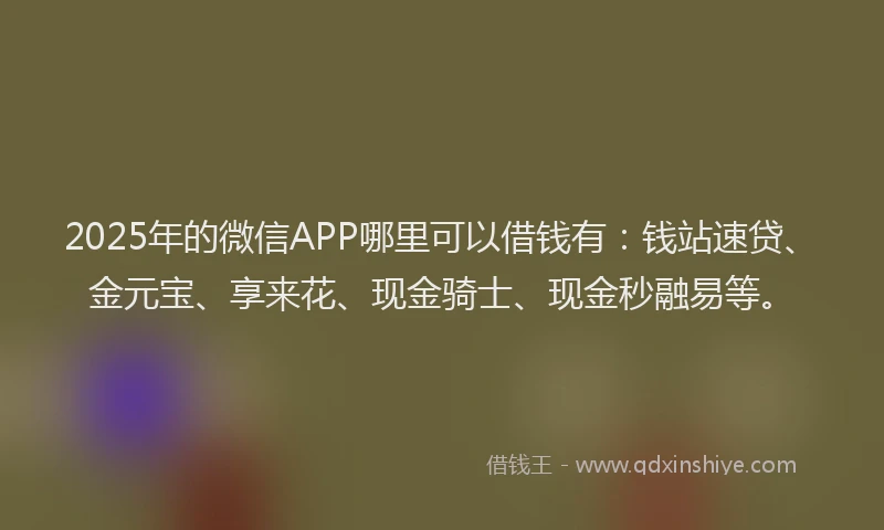 2025年的微信APP哪里可以借钱有：钱站速贷、金元宝、享来花、现金骑士、现金秒融易等。