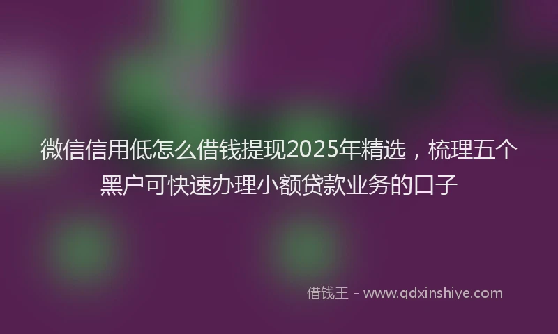 微信信用低怎么借钱提现2025年精选，梳理五个黑户可快速办理小额贷款业务的口子