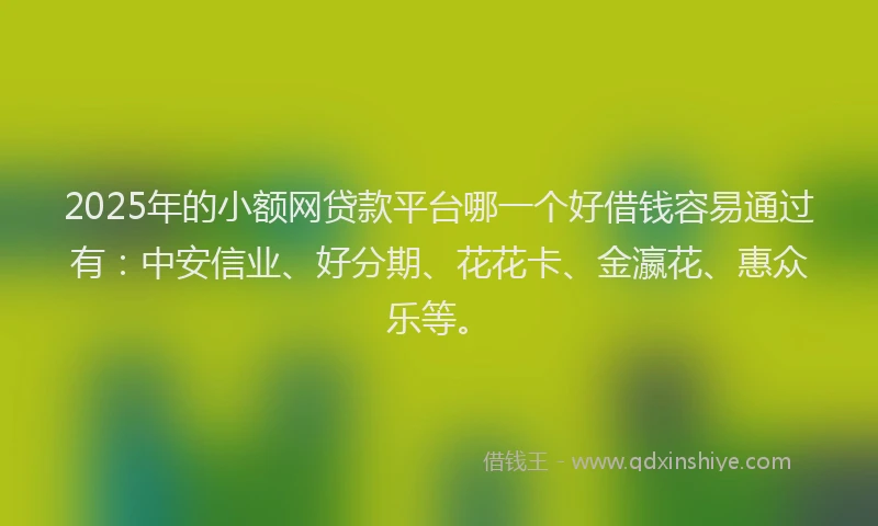 2025年的小额网贷款平台哪一个好借钱容易通过有：中安信业、好分期、花花卡、金瀛花、惠众乐等。