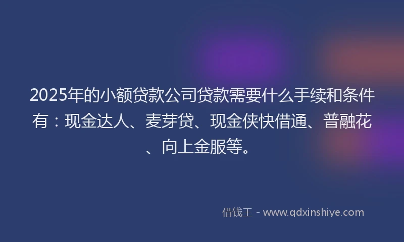 2025年的小额贷款公司贷款需要什么手续和条件有：现金达人、麦芽贷、现金侠快借通、普融花、向上金服等。