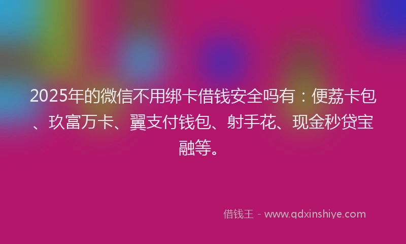 2025年的微信不用绑卡借钱安全吗有：便荔卡包、玖富万卡、翼支付钱包、射手花、现金秒贷宝融等。