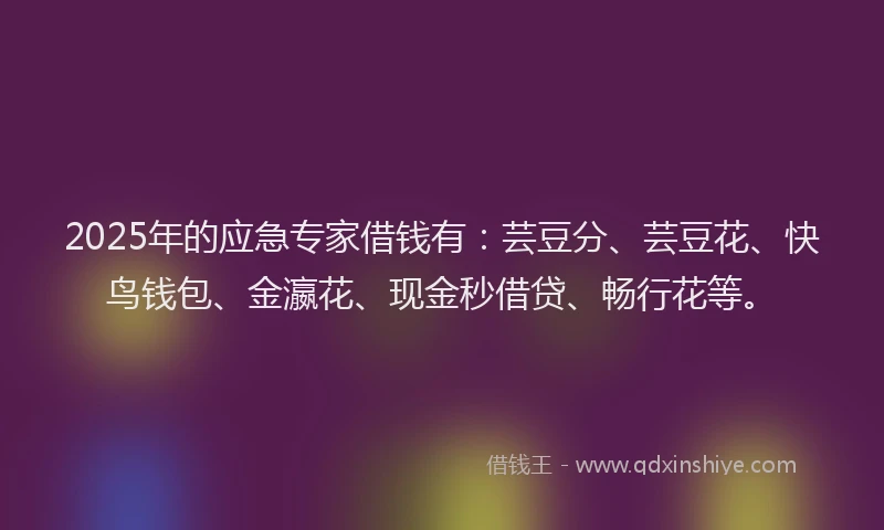 2025年的应急专家借钱有：芸豆分、芸豆花、快鸟钱包、金瀛花、现金秒借贷、畅行花等。