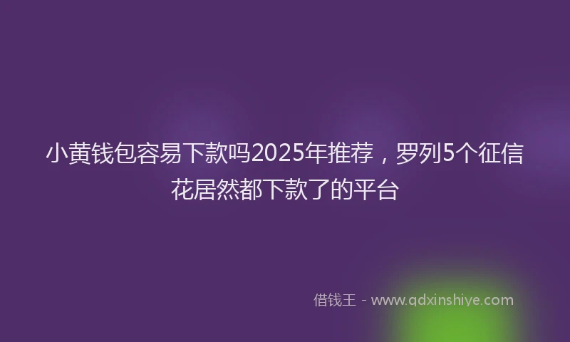 小黄钱包容易下款吗2025年推荐，罗列5个征信花居然都下款了的平台