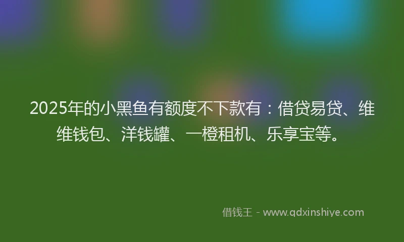2025年的小黑鱼有额度不下款有：借贷易贷、维维钱包、洋钱罐、一橙租机、乐享宝等。