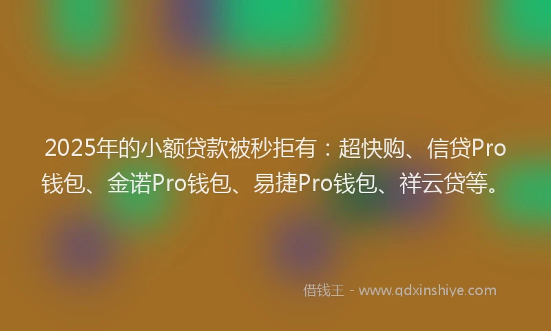 2025年的小额贷款被秒拒有：超快购、信贷Pro钱包、金诺Pro钱包、易捷Pro钱包、祥云贷等。