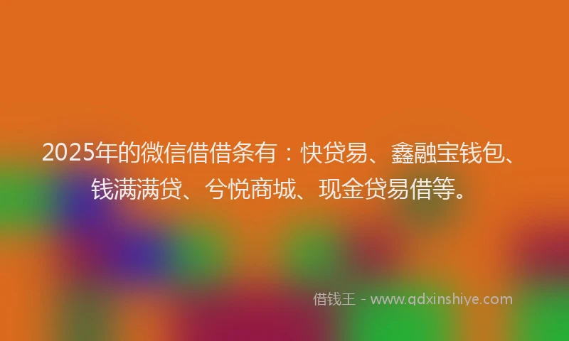 2025年的微信借借条有：快贷易、鑫融宝钱包、钱满满贷、兮悦商城、现金贷易借等。