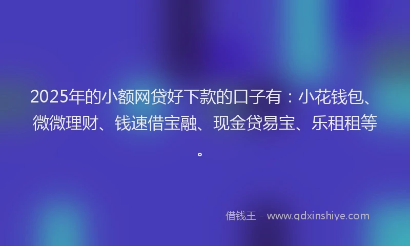 2025年的小额网贷好下款的口子有：小花钱包、微微理财、钱速借宝融、现金贷易宝、乐租租等。