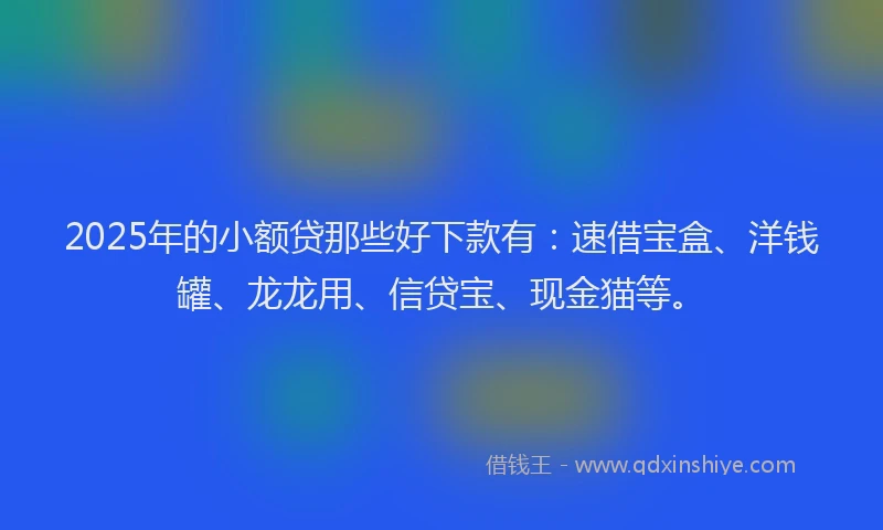 2025年的小额贷那些好下款有：速借宝盒、洋钱罐、龙龙用、信贷宝、现金猫等。