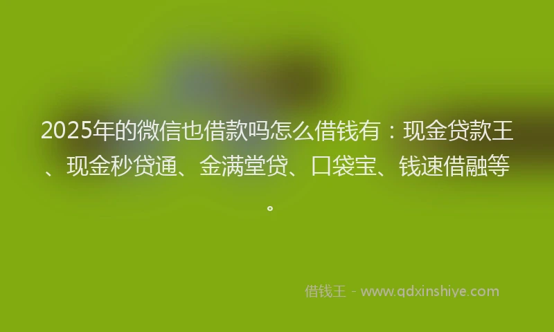 2025年的微信也借款吗怎么借钱有：现金贷款王、现金秒贷通、金满堂贷、口袋宝、钱速借融等。