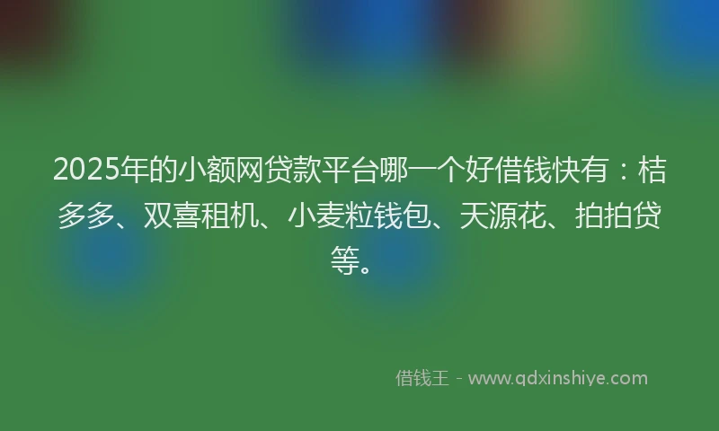 2025年的小额网贷款平台哪一个好借钱快有：桔多多、双喜租机、小麦粒钱包、天源花、拍拍贷等。