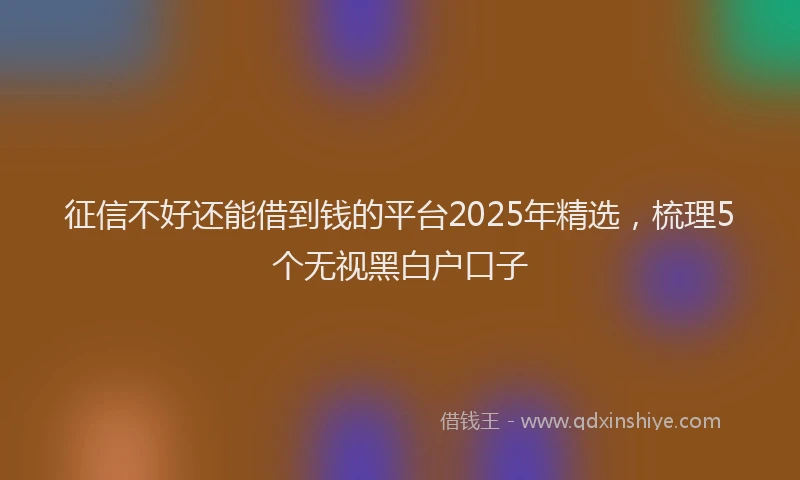 征信不好还能借到钱的平台2025年精选，梳理5个无视黑白户口子