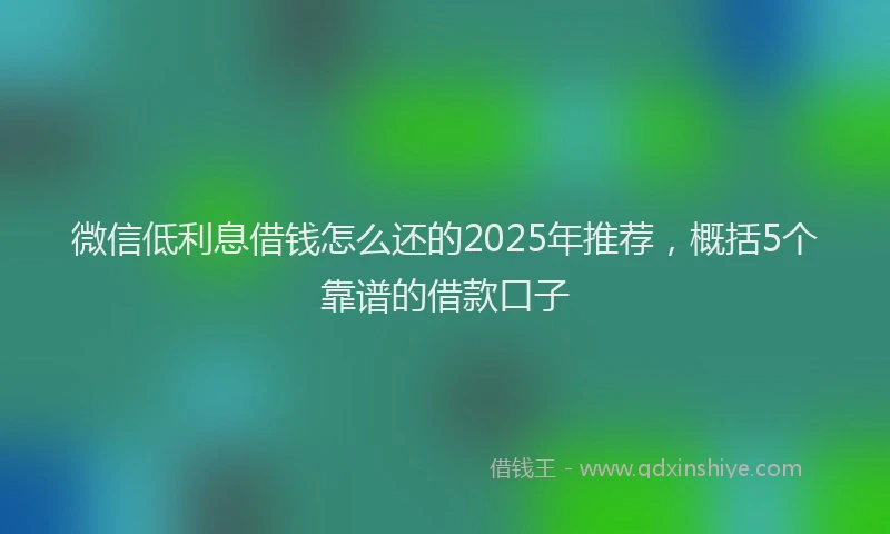 微信低利息借钱怎么还的2025年推荐，概括5个靠谱的借款口子