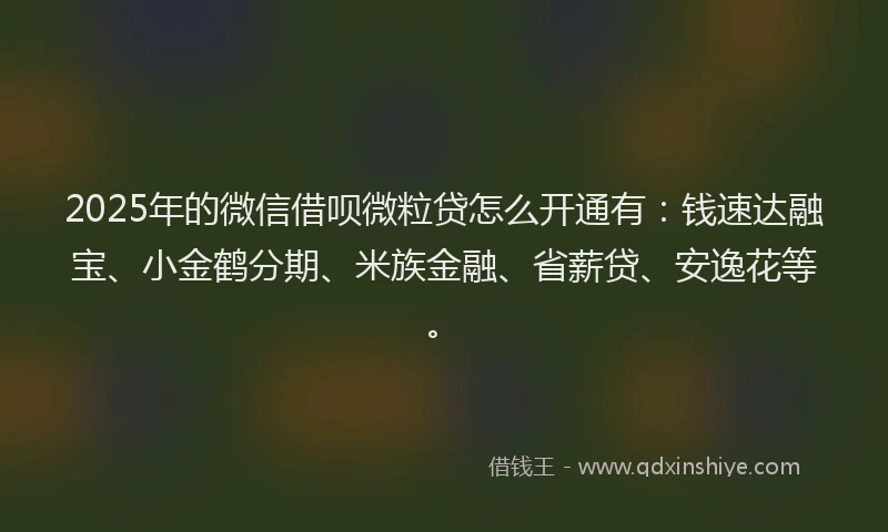 2025年的微信借呗微粒贷怎么开通有：钱速达融宝、小金鹤分期、米族金融、省薪贷、安逸花等。