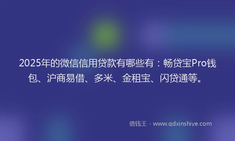 2025年的微信信用贷款有哪些有：畅贷宝Pro钱包、沪商易借、多米、金租宝、闪贷通等。